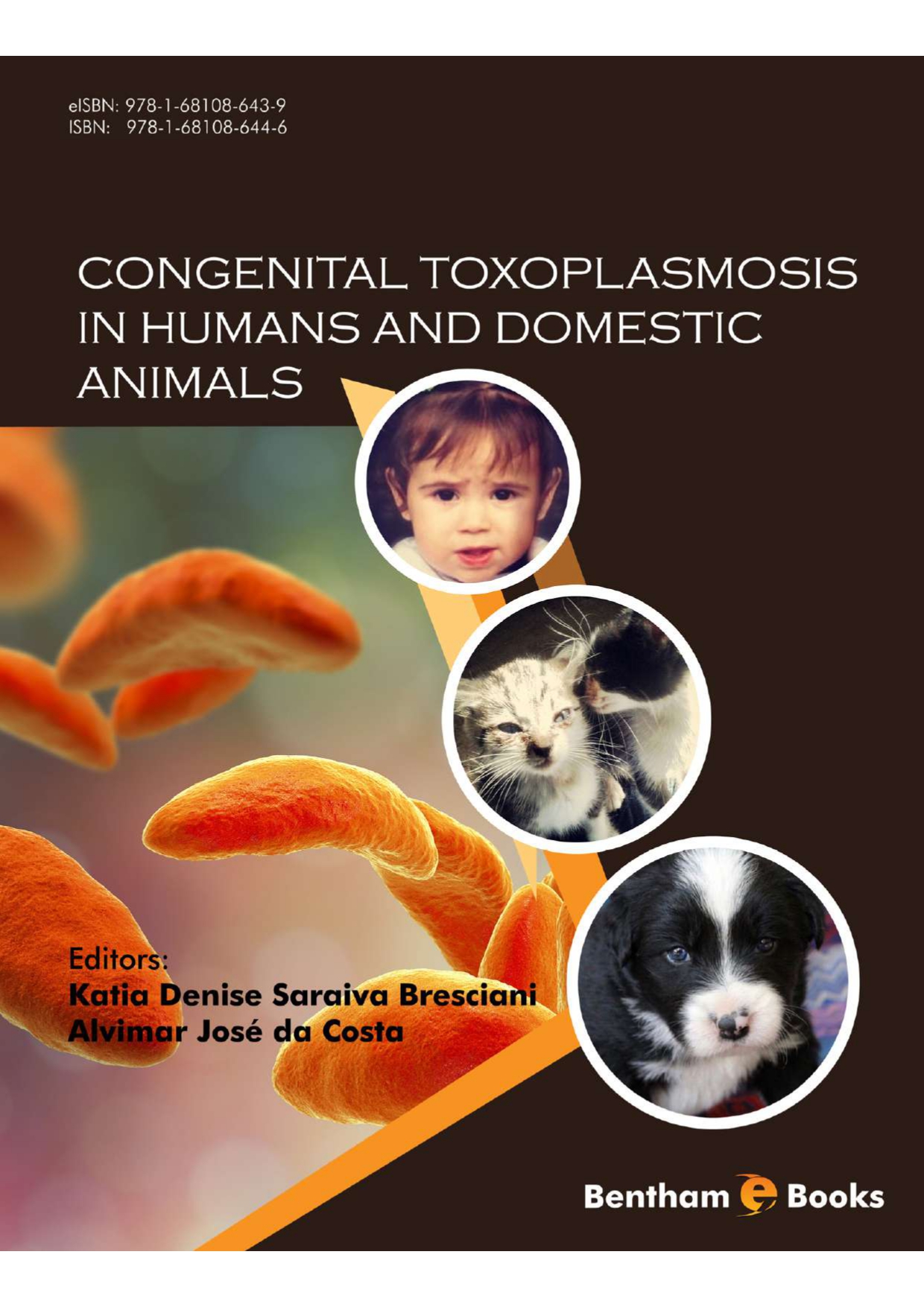 Congenital Toxoplasmosis in Humans and Domestic Animals